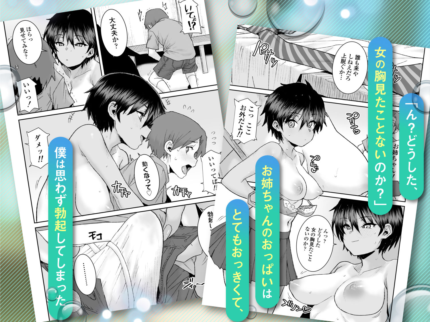 無口で気の強いボーイッシュなお姉ちゃんで僕は童貞を卒業しました preview 2